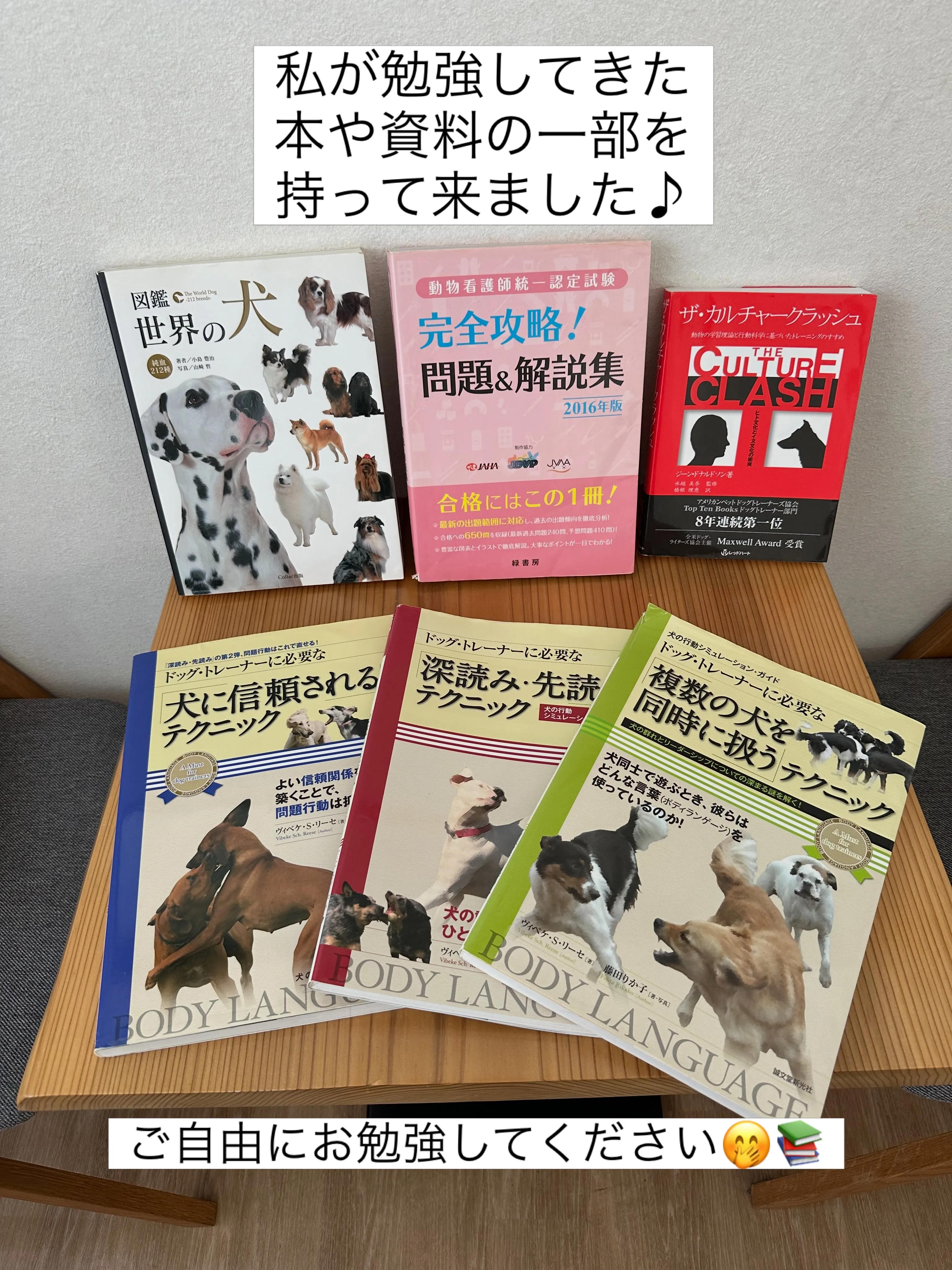 📚ちょっとのぞけるコーナーつくりました🐶