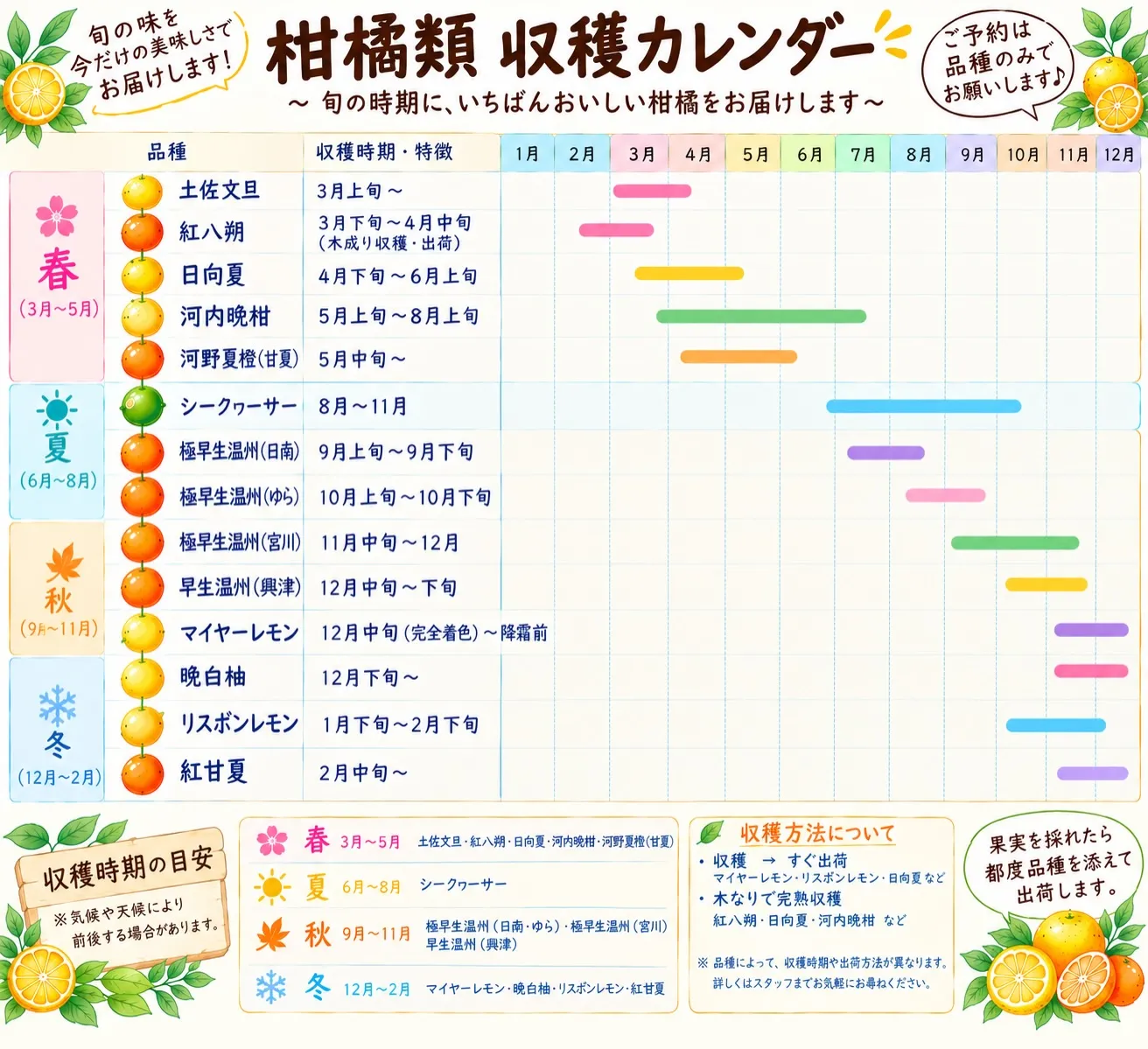 🍊 柑橘類の収穫カレンダーを作りました!